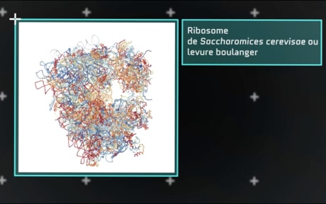 Prise de vue du projet